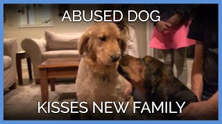 Abused Dog Kisses New Family | PETA Animal Rescues