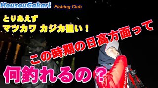 【北海道】　12月10日　日高方面　近況報告　何が釣れるのさ？！ @DONDABEch