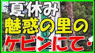 魅惑の里でケビンに２泊しました！広島県吉和にあるお勧めのキャンプ場 川遊びで魚採り バーベキュー オートキャンプ 夏休みの思い出