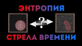 Энтропия и стрела времени (ScienceClic)