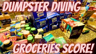 Dumpster Diving Latest 2025 Dollar General finding our groceries all in one dumpster!