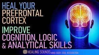 Heal Your Prefrontal Cortex | Improve Cognition Logic \u0026 Analytical Skills | Alpha Waves Music | 12Hz