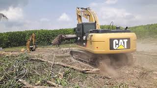 รีวิว CAT320D2 ไปแบกต้นมะร้าวมาช่วยรุ่นพี่ CAT320C  อุ้มมา2 ต้นเลย excavator EP.4152