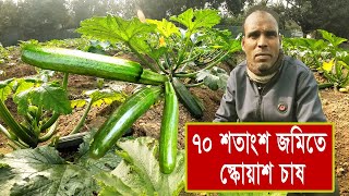 ৭০ শতাংশ জমিতে স্কোয়াশ চাষ, Squash Cultivation ll Roza Agro