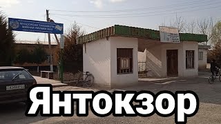 Янтокзор кишлоги.