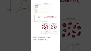 Red cell Distribution Width (RDW)