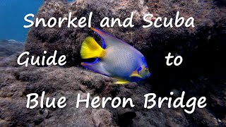 Snorkel and Scuba Guide to Blue Heron Bridge