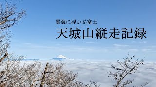 【天城山縦走登山】雲海に浮かぶ富士を横目に、伊豆の百名山を登る（[Mt. Amagi traverse climbing]）