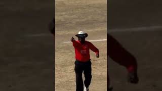 Funny umpiring on cricket field… New Billy Bowden in the house 🤣🤣 #shorts #cricket #funny