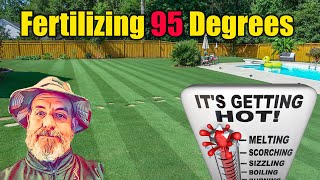 Hot Weather Lawn Care - Crazy Weekend