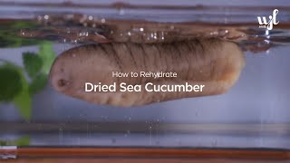 How to rehydrate and clean dried sea cucumber