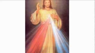 Divine Mercy Prayer Cards  - Pkg of 100