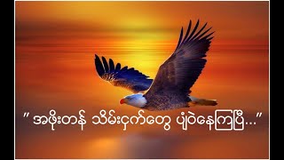 ” အဖိုးတန္ သိမ္းငွက္ေတြ ပ်ံဝဲေနၾကၿပီ…”