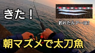 ついにきた！朝の時合いで80cm超えの太刀魚が!!釣れたのはあのルアー！