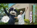 茨城県小美玉市　ダイヤモンブラン　 シンいば 茨城県 小美玉市 モンブラン オミタマヨーグルト