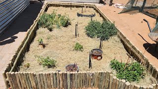 DIY Herb Garden Edging: Crafting Lath Border for Green Goodness