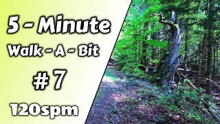 5-Minute-Walk-A-Bit - #7 - Trail Less Traveled