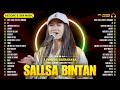 SALLSA BINTAN | GARA GARA SEBOTOL MINUMAN, SINGKONG KEJU (VERSI REGGAE SKA) FULL ALBUM TERBARU 2024