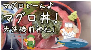 マグロ丼を食べに行ってからの大洗磯前神社！