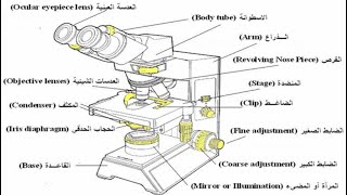 شرح اجزاء المجهر الضوئي | The microscope