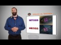 Eric Simon: MasteringBiology Video Tutors