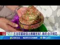 捕獲稀有龍宮貝12萬賣出 漁民依約今凌晨放生 王浩宇質疑違法捕龍宮貝 縣府 合乎規定│【新聞一把抓】20240924│三立新聞台