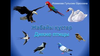 Жабайы құстар 2 Дикие птицы урок казахского языка жабайы кустар