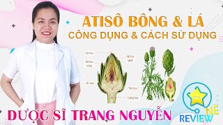 Atisô có tác dụng chữa bệnh gì? Cách sử dụng atisô tốt nhất cho sức khỏe