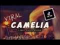 VIRAL TIK TOK DJ  CAMELIA YANDI KASIM REMIX 2023