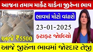 Jeera na bhav 🔥| 23/01/2025 | જીરુંના ભાવ:2025 | જીરું નો ભાવ | commodity trend #jeeranabhav