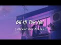 Dil Hi Toh Hai - Lofi ( Slowed+Reverb ) Arijit Singh,SLOWEDAudio