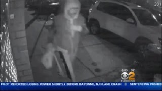 Suspect Sought In Queens Attacks