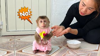 Baby monkey Tina cried angrily when her mother ate all her saved food.