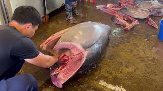 极速剖解巨型蓝鳍金枪鱼，惊人刀技震撼登场！Lightning-Fast Filleting of a Giant Bluefin Tuna with Astonishing Knife Skills!