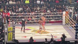 ラウンド2【RIZIN20】朝倉海VSマネルケイプ　タイトルマッチ