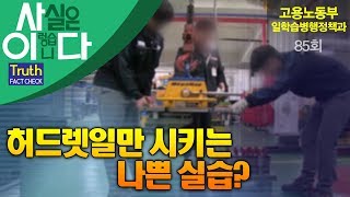 허드렛일만 시키는 나쁜 실습? - 팩트체크 사실은 이렇습니다