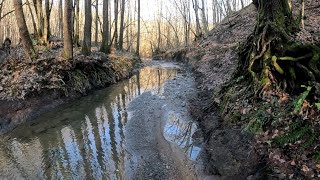 Коп по войне. Туапсинское направление. Находка огонь.