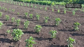 Monroe County jail garden grows, donates over 2K pounds of produce