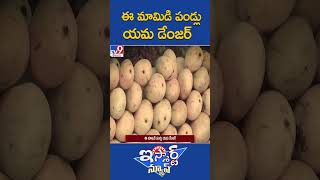 iSmart News : ఈ మామిడి పండ్లు యమ డేంజర్ | Danger Mangoes  - TV9