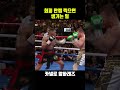 복싱이 경지에 오르면.. 복싱 boxing ufc