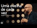 Uma ovelha de cada vez | Eduardo Fettermann | 13 de outubro de 2024