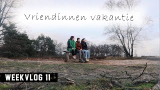 Nieuwjaarsduik en haren verven | met 2 VRIENDINNEN in een BOSHUISJE | studentenweekvlog 11