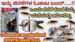 1 ರೂಪಾಯಿ ಯಲ್ಲಿ ಜಿರಳೆ ಓಡಿಸಿ 😱😱| ಜಿರಳೆ ಓಡಾಟ ಇನ್ನು ಬಂದ್ | New Kitchen Tips Kannada