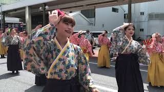 2019  まいや  愛宕競演場   よさこい  初日