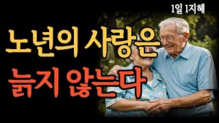 마지막 사랑이 아름다운 이유, 노년의 사랑은 두려울것이 없다 ㅣ노년 중년의 사랑ㅣ끝사랑ㅣ노후의 지혜ㅣ인생 ㅣ마지막사랑