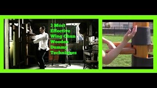 Wing Chun Wooden Dummy  - Top 3 Applicable Techniques! （木人樁法）