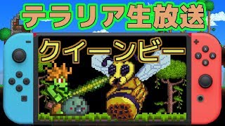 【テラリア】Switch版テラリアでクイーンビー討伐を目指す！【Terraria】