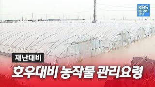 [태풍 알고 막자] ⑦호우 대비 농작물 관리 요령