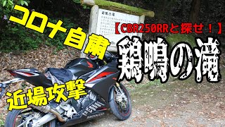 【モトブログ】コロナ自粛で近場攻撃　鶏鳴の滝に行ってみた【CBR250RRと探せ！】