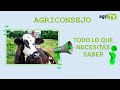 ¡CONSEJOS destinados al sector del VACUNO DE LECHE!🐮TODO lo que necesitas saber ℹ️